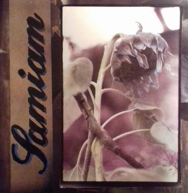 Samiam - Samiam